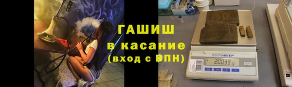 прущие грибы Красноперекопск