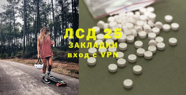 прущие грибы Красноперекопск