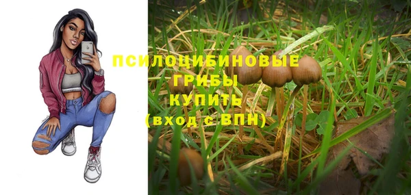 прущие грибы Красноперекопск