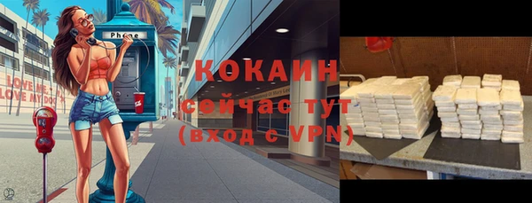 МДПВ Краснослободск