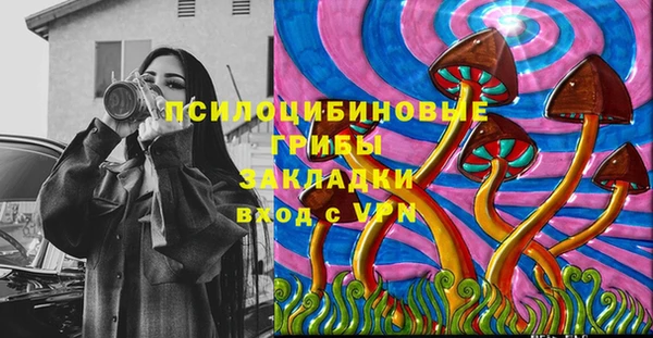 прущие грибы Красноперекопск